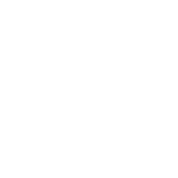 camerasystemen icoon website